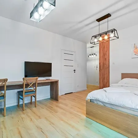 Apartment Stylish Studio. Free Parking.